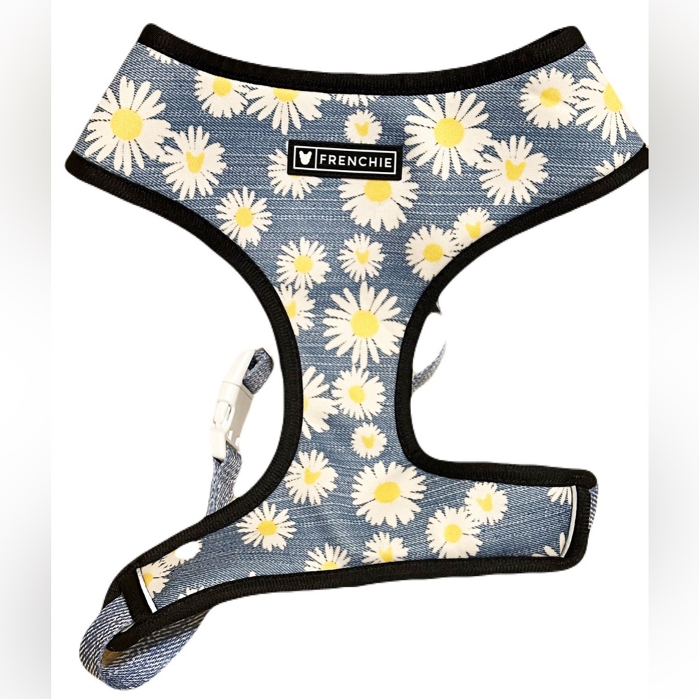 🆕 Frenchie Blue Daisy Dog Harness